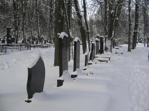 Фото Александра Смолякова