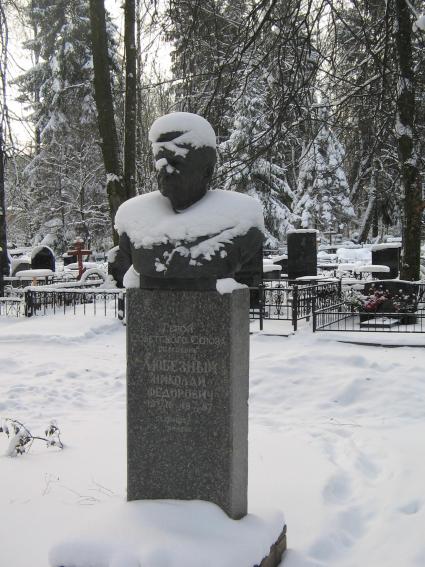 Фото Александра Смолякова