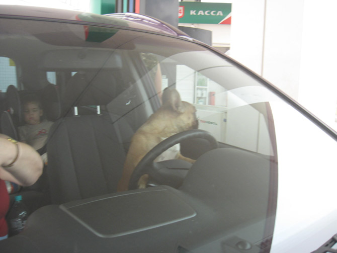 8 августа 2010 г. 
