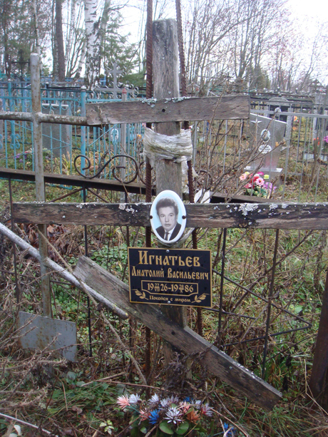 Могила А.В. Игнатьева, фото Лидии Нарцевой