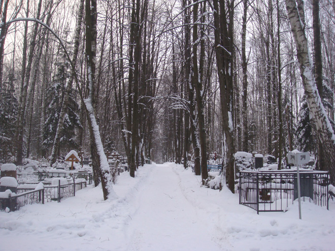 Химкинское кладбище, 15.1.11, фото Лидии Нарцевой