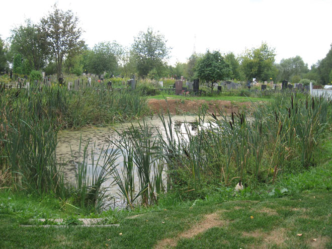 Машкинское кладбище, 27 августа 2011 г.