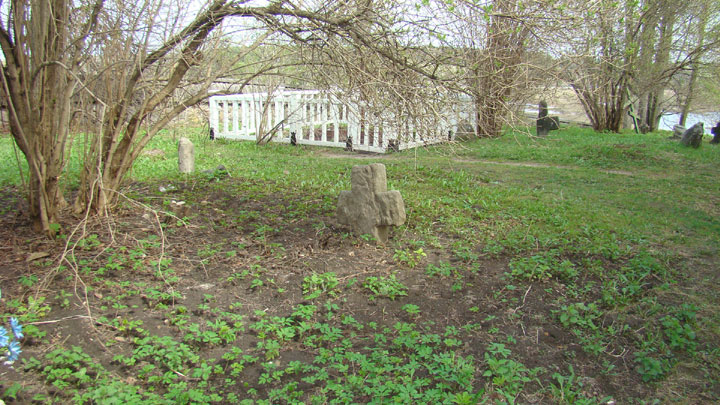 Городище Воронич 