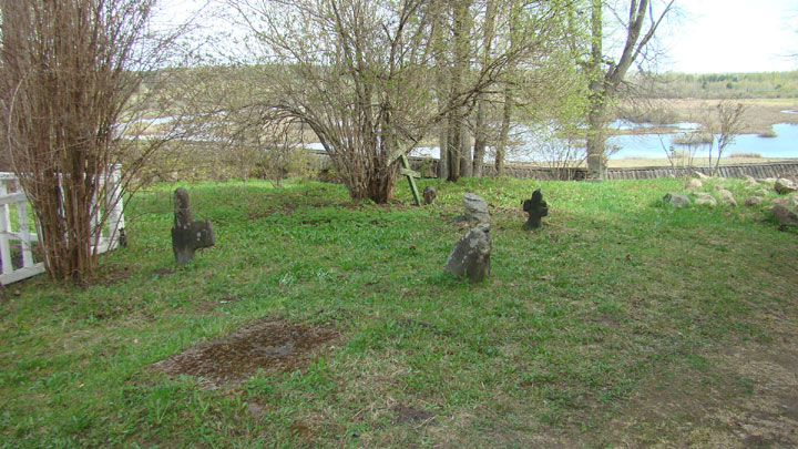Городище Воронич 