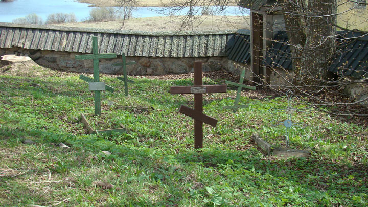 Городище Воронич 