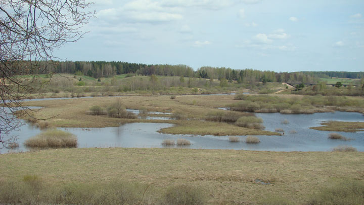 Городище Воронич 