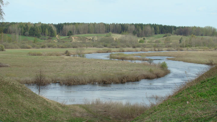 Городище Воронич 